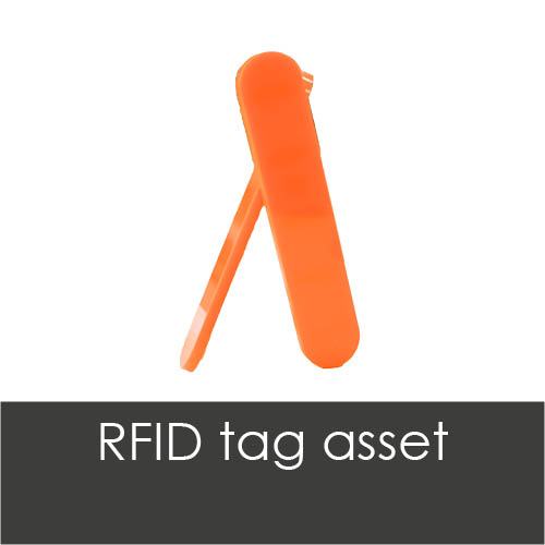 RFID tag asset